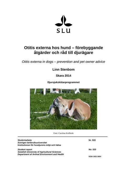 (PDF) Otitis externa hos hund – förebyggande åtgärder … · Otitis ...