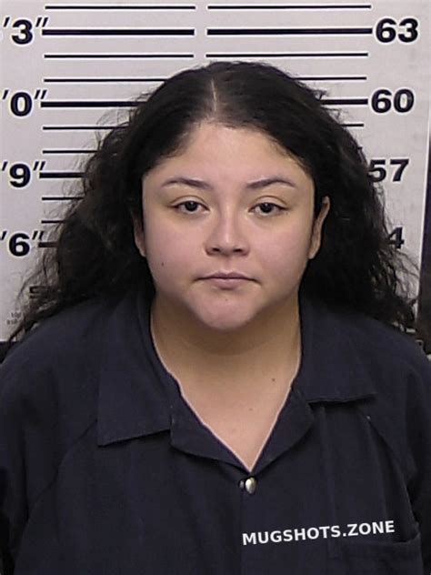 LEIJA VANESSA A 09 14 2023 Eddy County Mugshots Zone