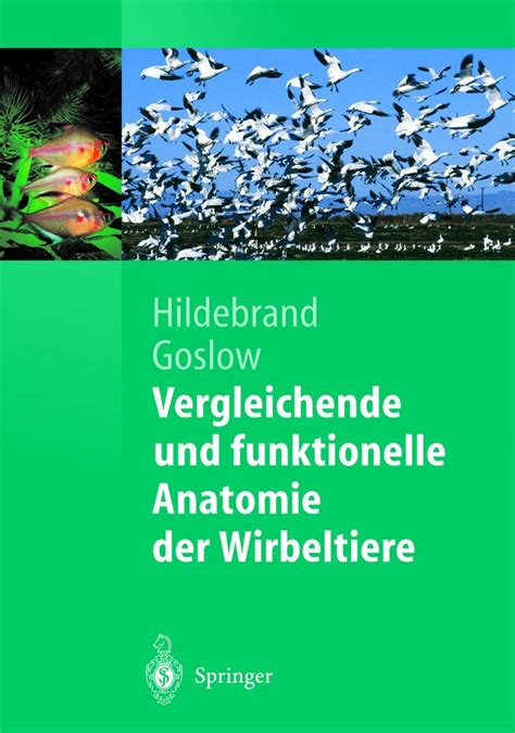 Vergleichende Und Funktionelle Anatomie Der Wirbeltiere Hildebrand