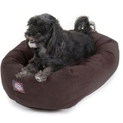 The 5 Best Dog Beds In 2020