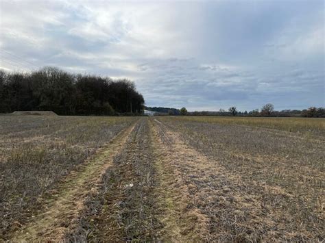 Corner Of Bull S Bushes Copse Mr Ignavy Cc By Sa 2 0 Geograph