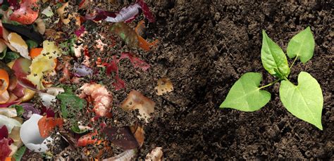 green  garden  composting
