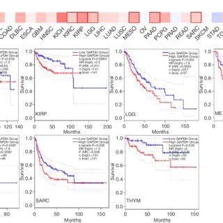 Gapdh High Expression Correlates With Poor Overall Survival A And