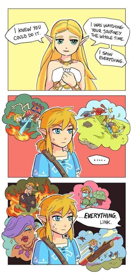 Pin By No Thanks On Games Legend Of Zelda Memes Zelda Funny Zelda Memes