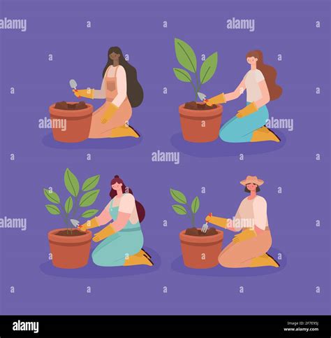 Four Planters Illustrations Stock Vector Image And Art Alamy