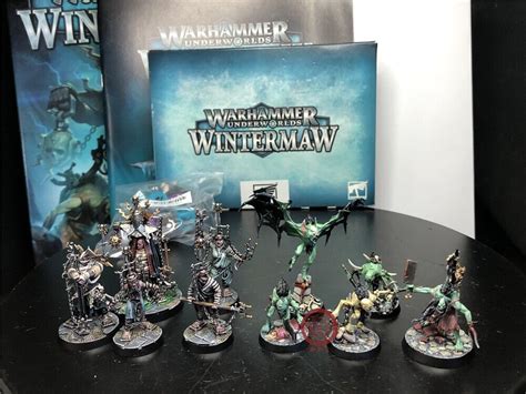 Boxed Games Dps Painted Warhammer Underworlds Wintermaw Sk2535 Ebay