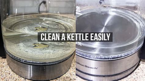 How To Clean A Glass Kettle Easily Essy Cooks