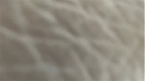 Lucy Mendez Anal Videos XVIDEOS