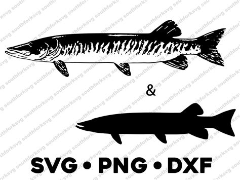 Muskie Muskellunge Musky Pike Northern SVG PNG DXF Vector Transparent