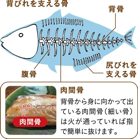 お魚料理は意外と時短？下処理のコツ、骨の取り方【簡単レシピ掲載】