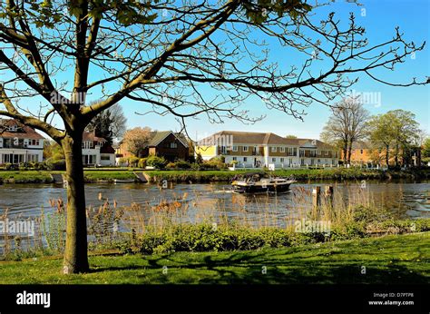 Riverside At Staines On Thames Surrey Stock Photo Alamy