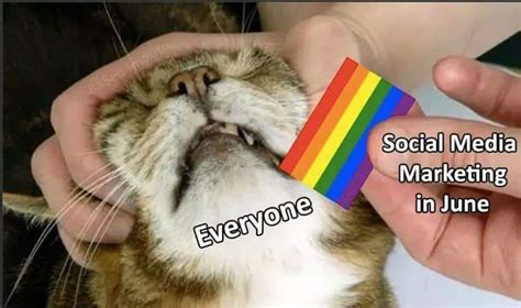 The Best Rainbow Memes Memedroid