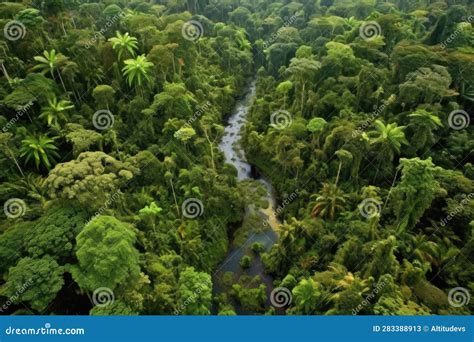 Lush Green Amazon Rainforest From Above Stock Image Image Of Green