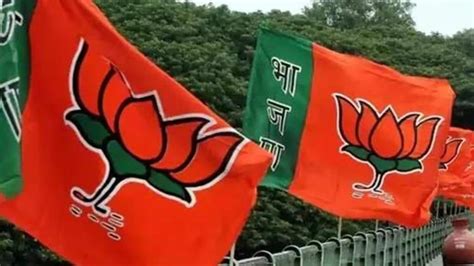 Lok Sabha Polls Focus On Bjp Central Election Committee Meeting For