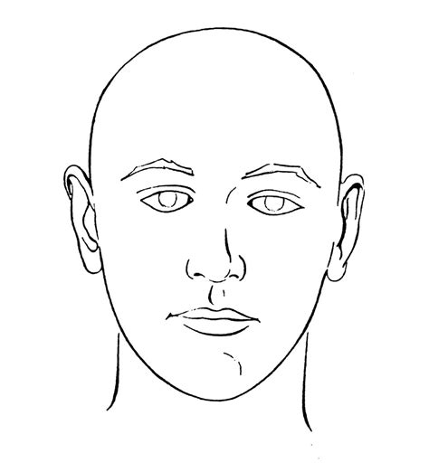 Anterior Head Diagram Diagram Quizlet