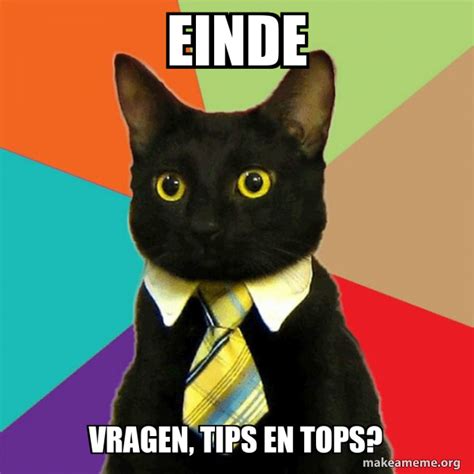 Einde Vragen Tips En Tops Business Cat Make A Meme