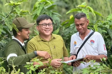 Pln Uip Nusra Gelar Rapat Koordinasi Bersama Pemda Lembata Gerak Cepat