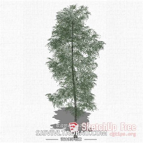 638 Tree Sketchup Model Free Download