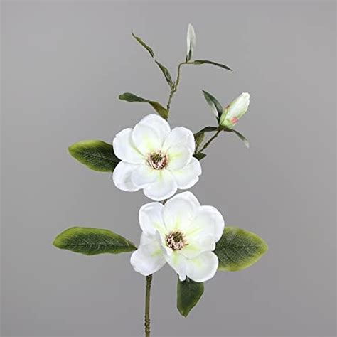 Amazon de Seidenblumen Roß Magnolienzweig 82cm weiß DP Kunstblumen