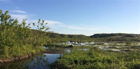 Get Naked Wetlands Where Wife Images