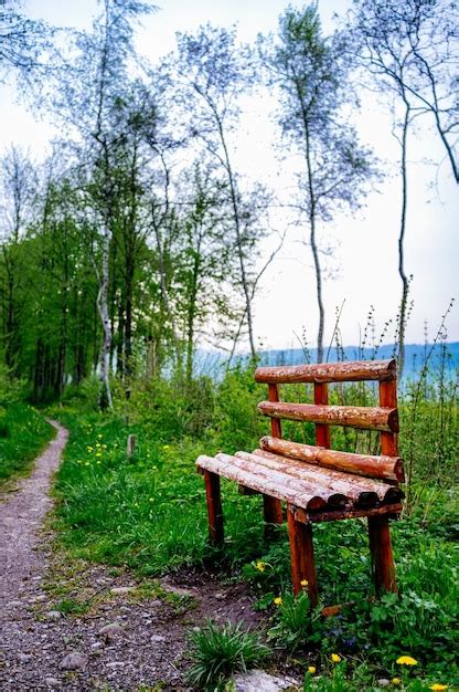 Premium Photo | Empty bench in park