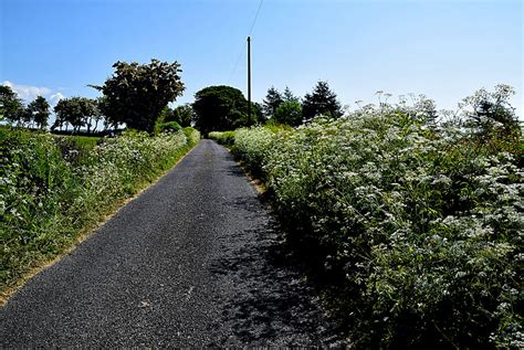 Minor Road Crosh Kenneth Allen Geograph Britain And Ireland