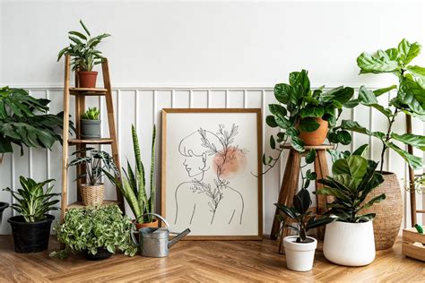 Plantas Folhagens Ideais Para Ambientes Internos Casa E Jardim