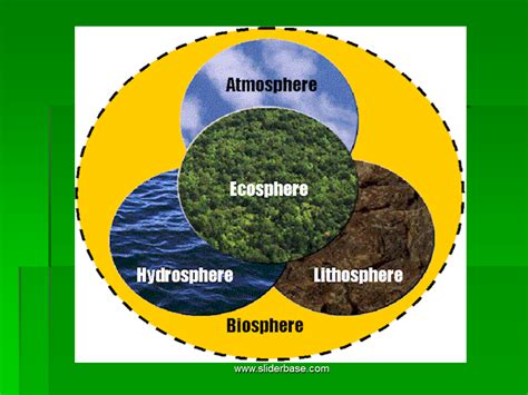 Ecology Presentation Ecology