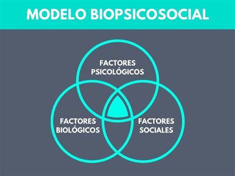 Modelo Biopsicosocial Concepto Factores Ventajas Desventajas Thepaint