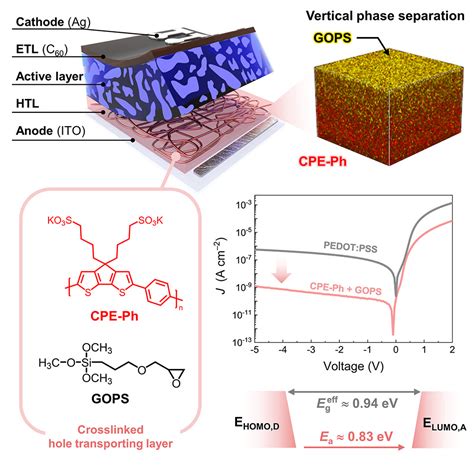 Ultralow Dark Current In Near Infrared Organic Photodetector Via