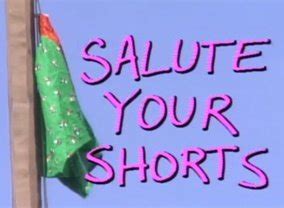 Salute Your Shorts TV Show Air Dates & Track Episodes - Next Episode