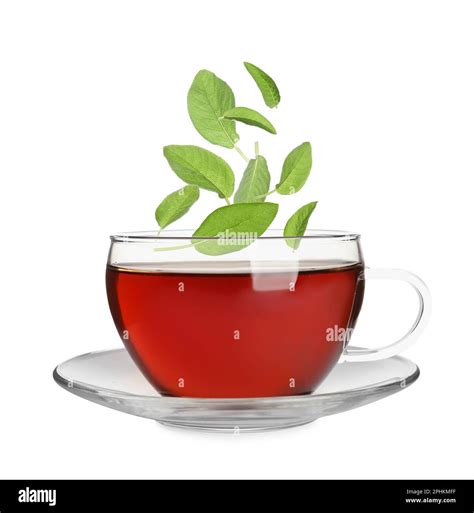 Fresh Sage Leaves Falling Into Cup Of Freshly Brewed Tea On White