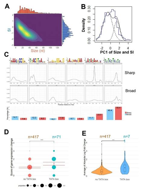 Tss Cluster Classification Motif Enrichment And The Relationship With