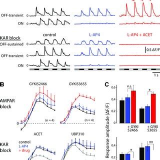 Kainate Receptor Block Eliminates Excitatory Currents In Type 4 OFF