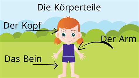 Die Körperteile Auf Deutsch The Body Parts In German اجزاء الجسم باللغة الالمانية Youtube