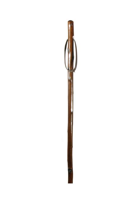 Classic Canes Chestnut Hiking Staff William Evans Ltd