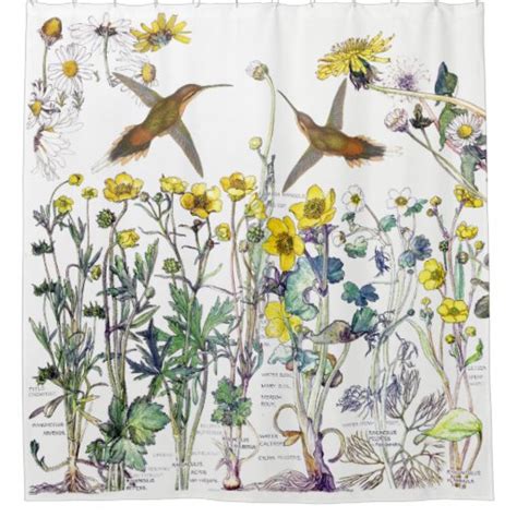 Hummingbird Bird Wildflower Flowers Shower Curtain Zazzle