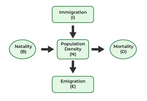 Logistic Population Growth Definition Factors Graph Examples Faqs