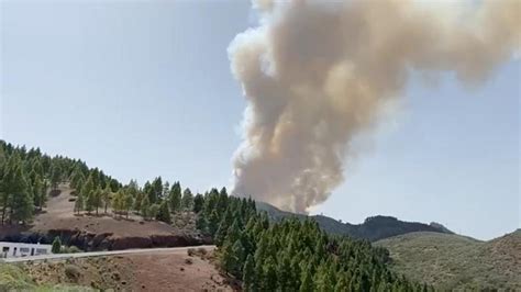 Incendio Gran Canaria El Cabildo De Gran Canaria Da Por Controlado El