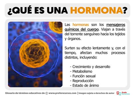 Qué Es Una Hormona Definición De Hormona