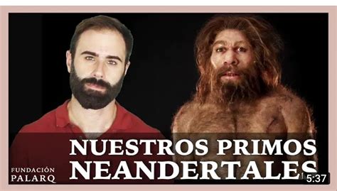 Nuestros Primos Neandertales Fundación Palarq