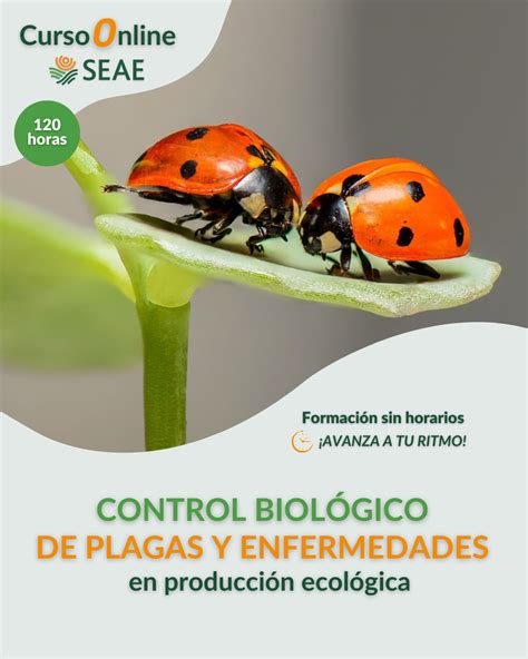 Curso Online Control Biológico De Plagas Y Enfermedades En Producción