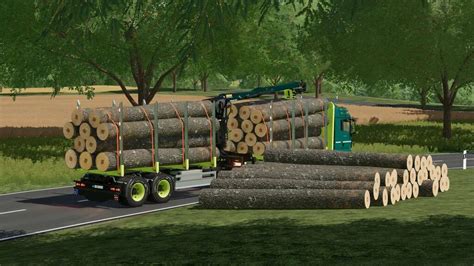 Man Tgx Forest Special V1 0 Fs22 Mod Download