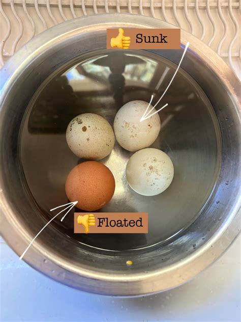 How To Check If Eggs Are Still Edible Perform An Egg Float Test At