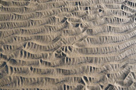 Free photo: Sand Pattern - Beach, Brown, Sand - Free Download - Jooinn