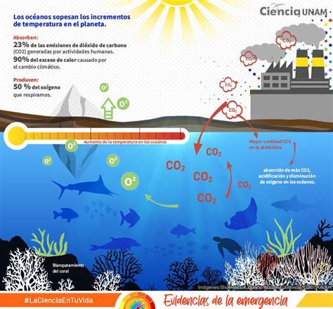 Especial Emergencia Climática Impactos en los océanos y cómo se miden