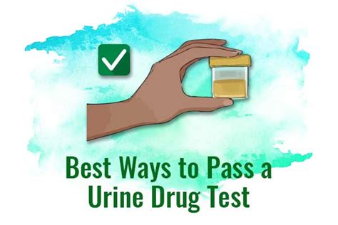 Best Ways To Pass A Urine Drug Test Fv Kasa