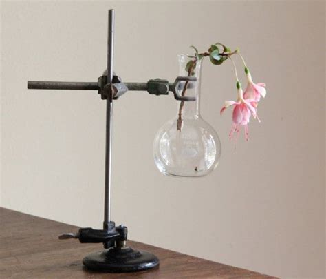 Chemistry T Science Flower Vase Laboratory Biology Cool Antique Lab Parts Small Boiling