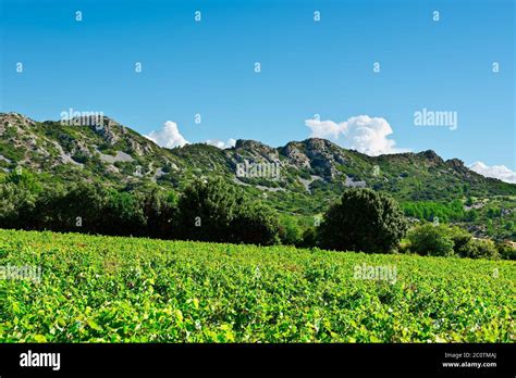 Autumn in France Stock Photo - Alamy