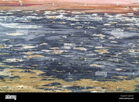 Inquinamento Del Suolo Causato Da Fuoriuscite Di Olio Foto Stock Alamy